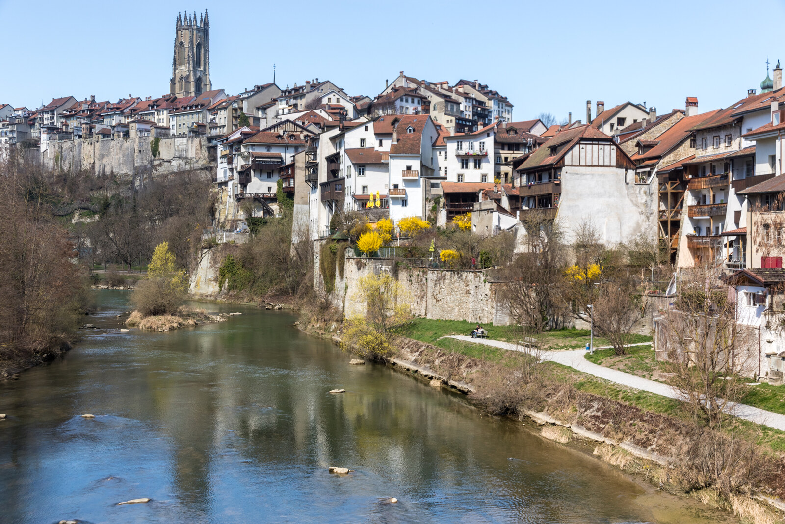 Cout d'une Urgence Dentaire en Suisse : Prix et Assurance