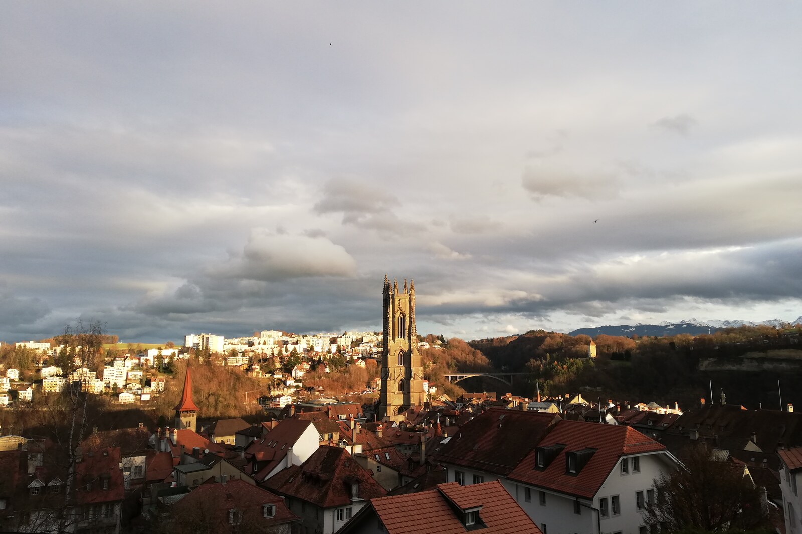 Dentiste d'Urgence a Fribourg : Guide Complet 2026